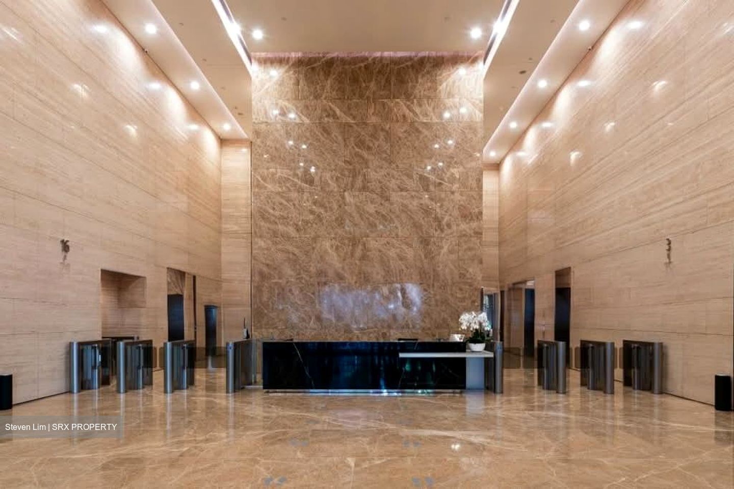 PLUS (D1), Office #561530391